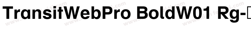 TransitWebPro BoldW01 Rg字体转换